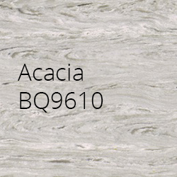 Acacia BQ9610