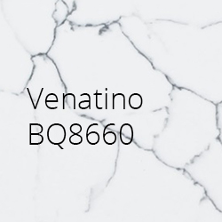 Venatino BQ8660
